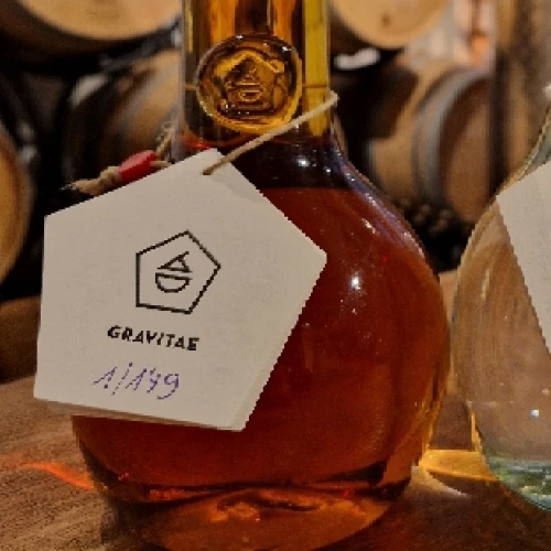 Gravitae 149